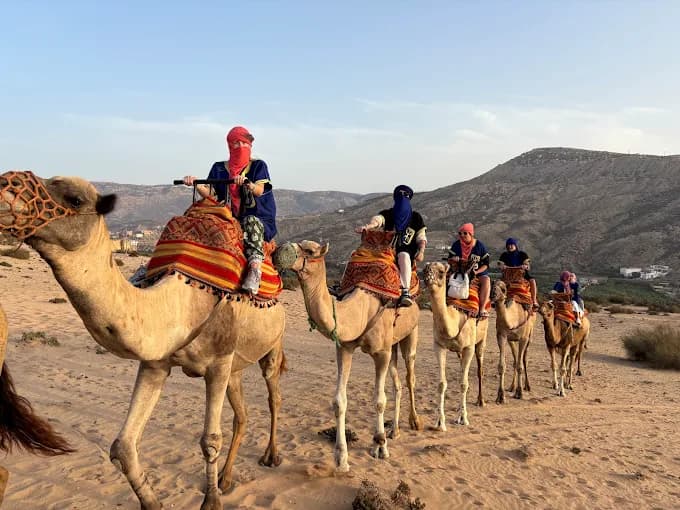 Camel Ride Agadir: Prices, Sunset Times & What to Expect (2026)