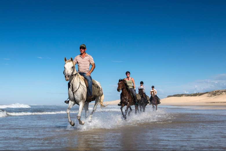 Horse riding on the Atlantic beach near Agadir and Taghazout as an alternative to a second surf session