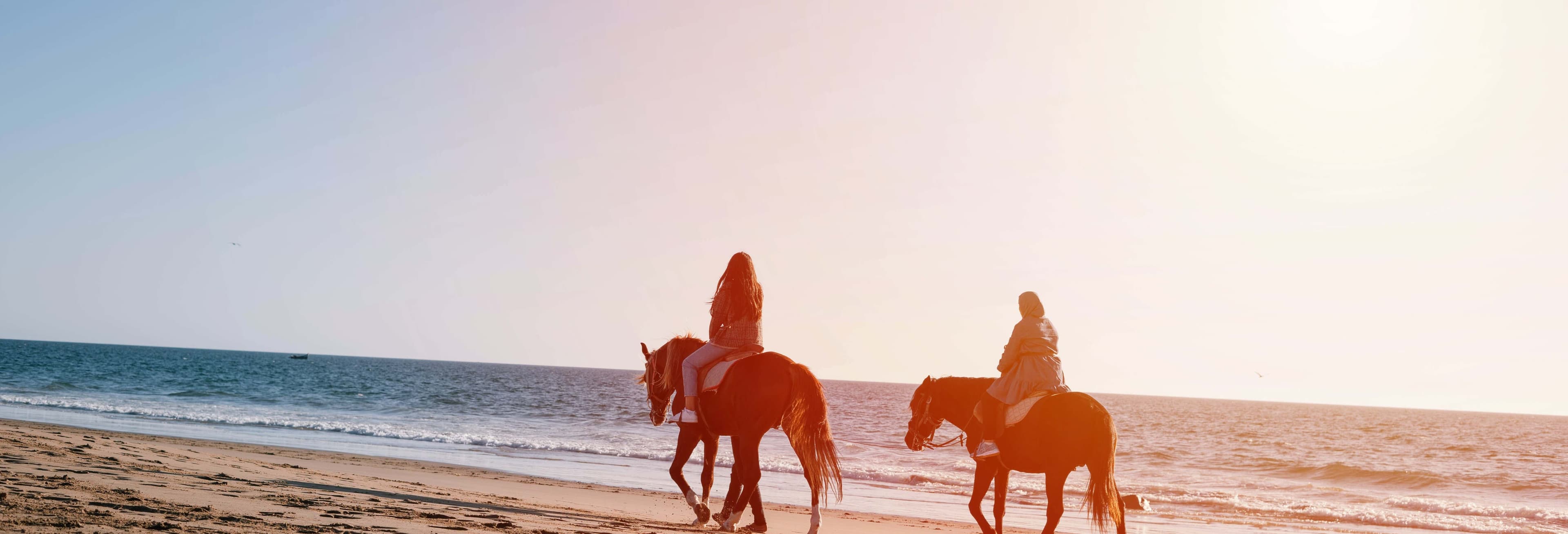 Horses galloping along the Atlantic shoreline near Agadir on a guided beach horse ride.