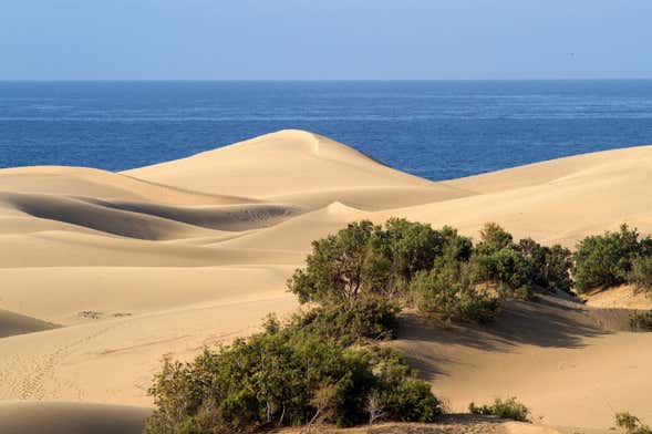 Tiznit and desert safari day trip from Agadir — 4×4 across the dunes with the historic Silver City en route.
