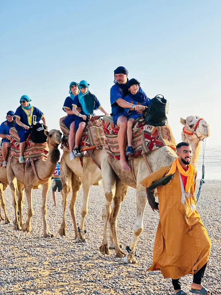 camel ride tamri